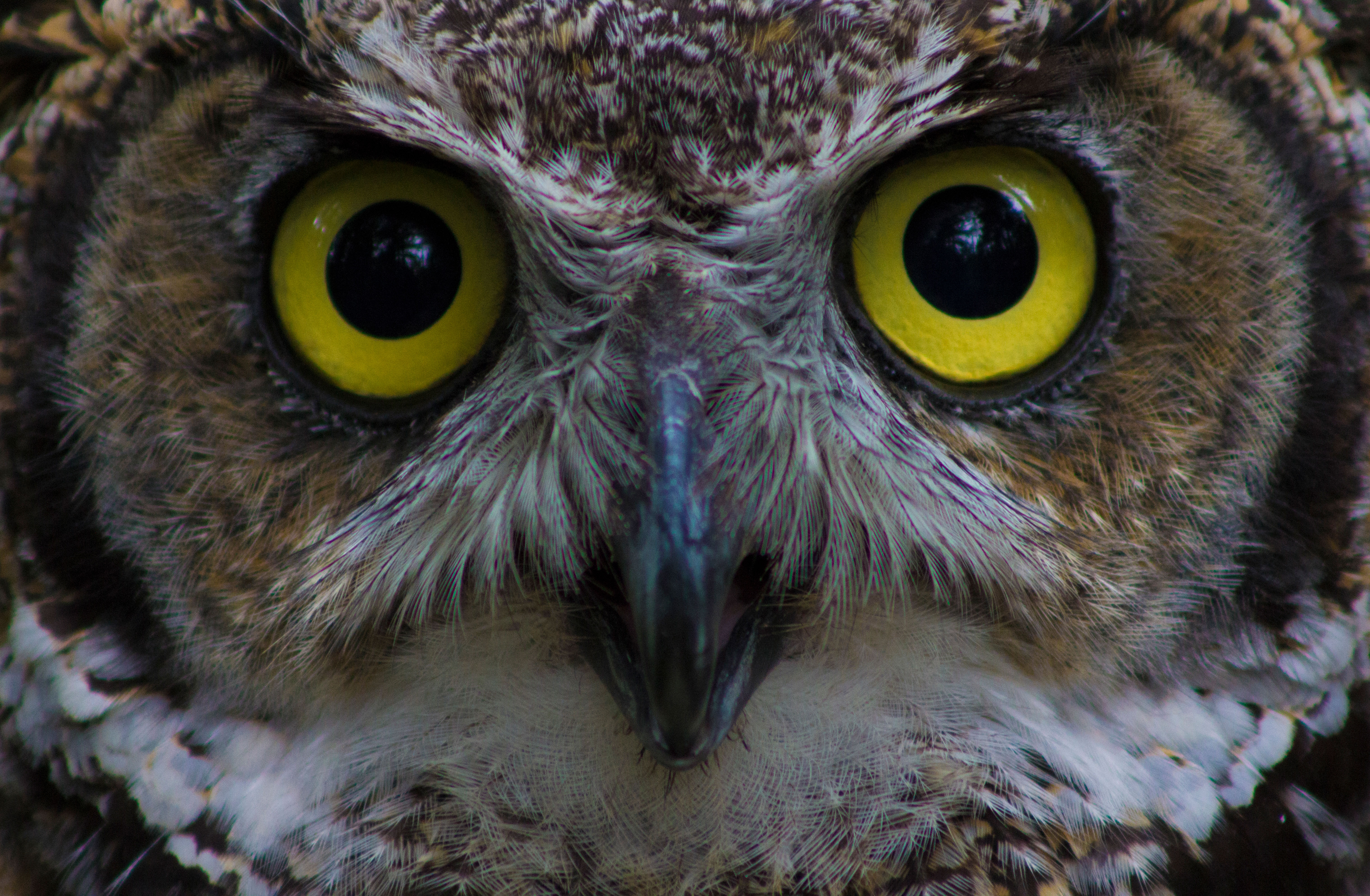 Photos | Sitka Wildlife Tours