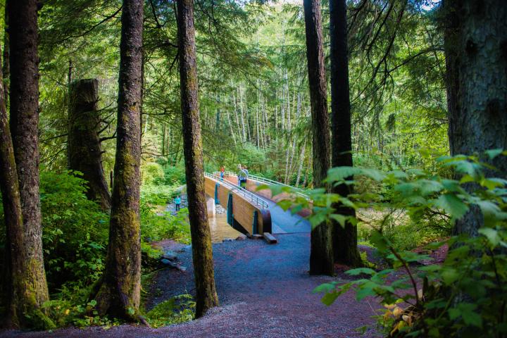 a close up of a wooded area