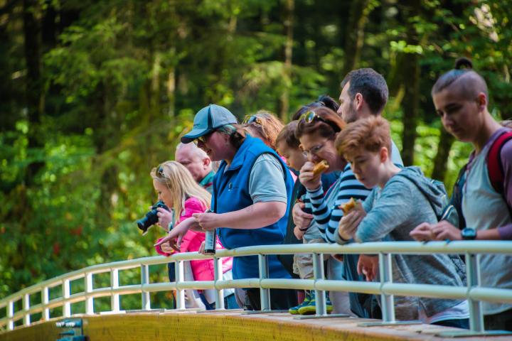 a group of people riding on top of a wooden fence