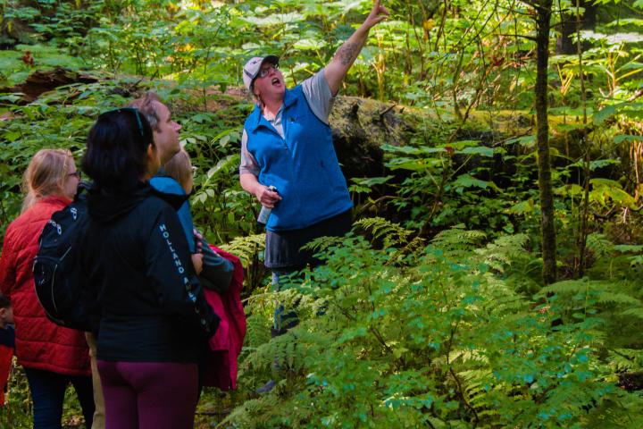 a group of people in a forest